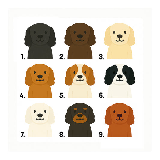 Personalised Spaniel Christmas Card